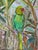 Wonderful green parrot in his dense habitat. Loose brush