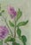 Realism 1970s Lilac Still Life, Oil Painting, Ukrainian Art 50-35 For Sale - Image 3 of 6