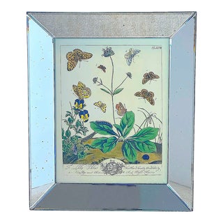 Vintage Reproduction Moses Harris 1778 Natural History Print, Butterflies and Flowers, Framed For Sale