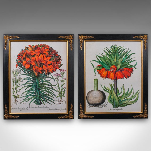 This is a pair of vintage botanical pictures. A Continental, framed print in the manner of botanist Basilius Besler,...