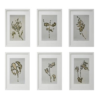 Set of 6 - One-of-a-Kind Dark Green & Cream Botanical Organic Modern Original Oil Paintings / Contemporary Herbarium / Floral / Earth Tones For Sale