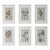 Set of 6 - One-of-a-Kind Dark Green & Cream Botanical Organic Modern Original Oil Paintings / Contemporary Herbarium / Floral / Earth Tones For Sale