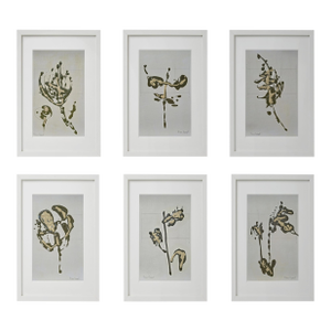 Set of 6 - One-of-a-Kind Dark Green & Cream Botanical Organic Modern Original Oil Paintings / Contemporary Herbarium / Floral / Earth Tones