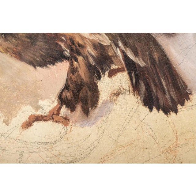 Neoclassical Antonie Fromholz Birnbach (German, 19th C.) Oil Painting on Unstretched Canvas, Portrait of a Full-Bodied Hawk in Profile For Sale - Image 3 of 12