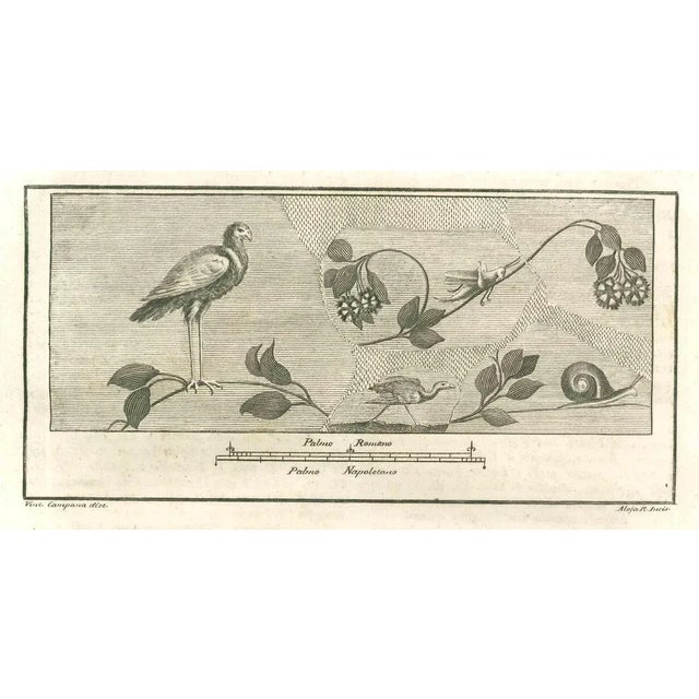 Birds Fresco from "Antiquities of Herculaneum" is an etching on paper realized by Giuseppe Aloja in the 18th Century....