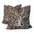 Quadrille Arbre De Matisse Tint on Brown Linen Pillows - Double Sided Pair For Sale