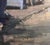 Sidewalks in Greys by Jim Beckner | Oil on Board Nighttime city street with people and lights. For Sale - Image 4 of 5