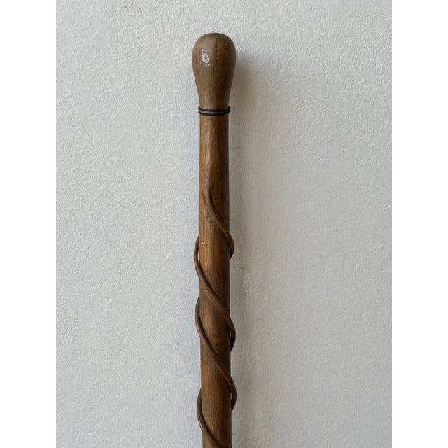 Early 20th Century Antique Cane With Steam Bent Spiraling Branch Detail, Circa Early 20th Century For Sale - Image 5 of 16