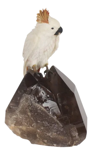 Amusing Carved Hardstone Quartz Cockatoo