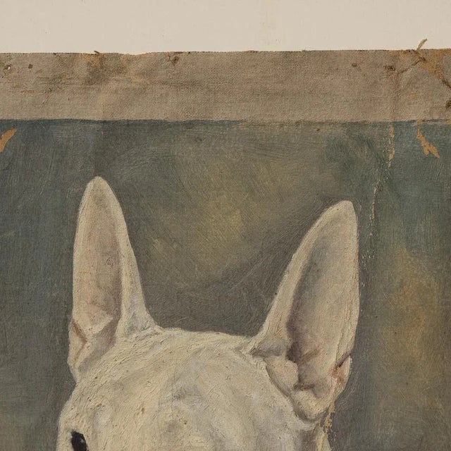 Frederick Thomas Daws, Antique English Bull Terrier, Oil on Canvas, 1920, Framed For Sale - Image 10 of 13