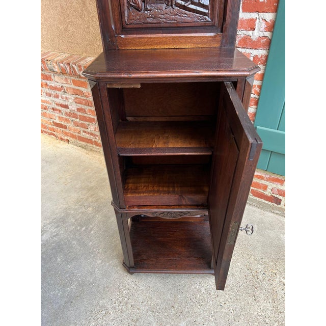 Antique French Breton Hall Cabinet Tall Narrow Carved Crown Bookcase C1880 For Sale - Image 11 of 18