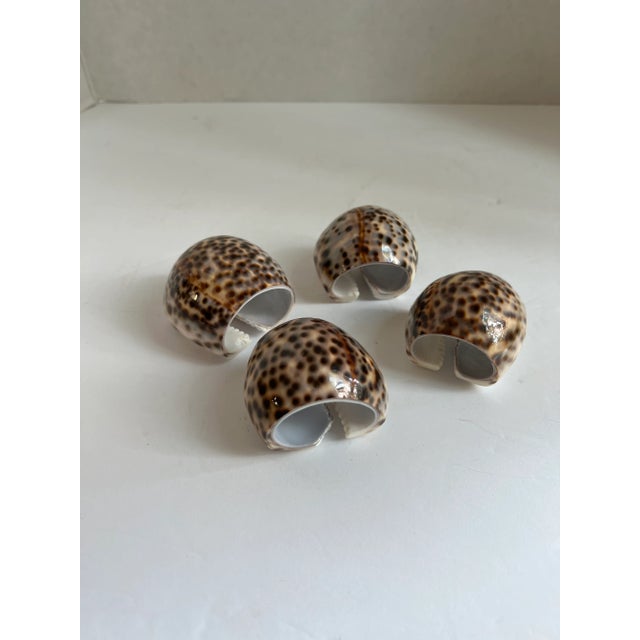 1990s Tiger Shell Napkin Rings-4 For Sale - Image 5 of 5