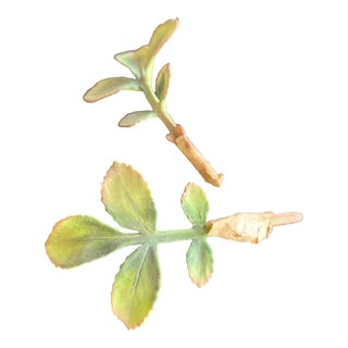 Antique English Royal Worcester Fine Bone China Flower Leaves For Sale