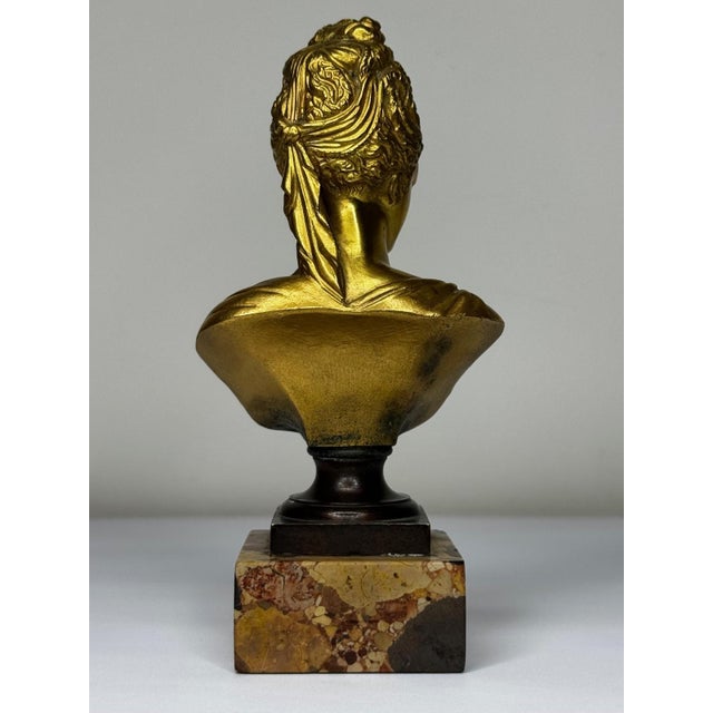 Goldenrod Late 19th Century Bronze Small Portrait Bust of Diana De Poitiers, After Jean-Antoine Houdon For Sale - Image 8 of 18