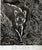 Vintage Impressionist Woodcut Print of Florida Panther in Wood Frame For Sale In Philadelphia - Image 6 of 8