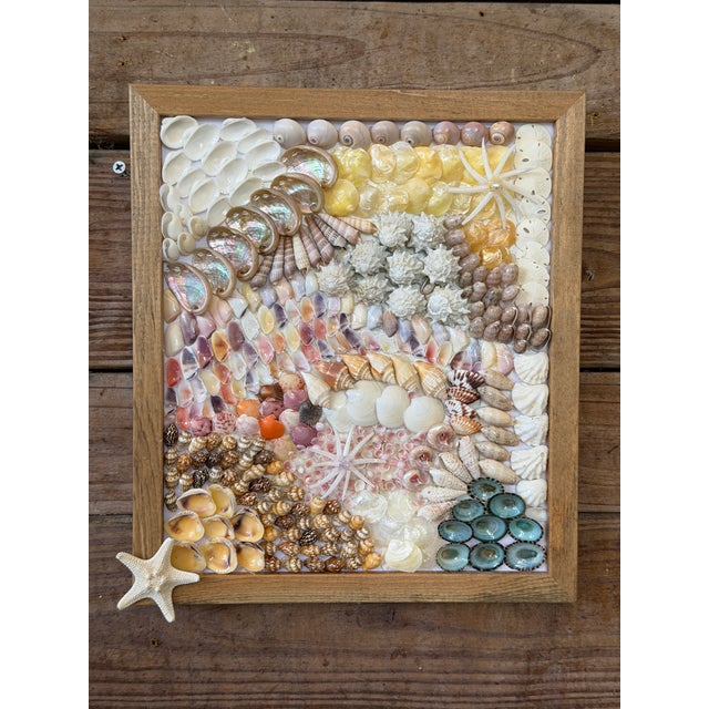 Custom Framed Coastal Seashell Wall Art For Sale - Image 9 of 10