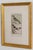 19th Century Set of Framed Avian / Bird Engravings For Sale - Image 9 of 11