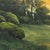 Field and Stone Study by Shawn Krueger | Oil on linen Landscape with stones and greenery For Sale