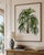 Vintage Palm Tree Illustration, Botanical Art Print Reproduction, 32" X 48" For Sale - Image 4 of 9