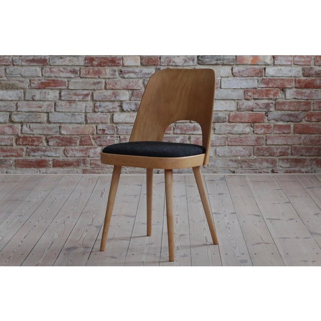 Dining Chairs by Oswald Haerdtl, 1950s, Set of 4 For Sale - Image 6 of 18