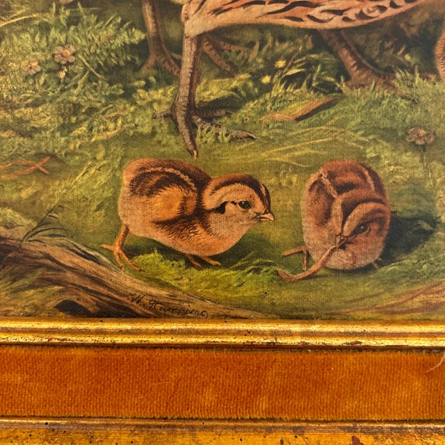 Quail and Frolicking Chicks Chromolithograph Print in Pretty Gold and Felt Frame For Sale - Image 4 of 6