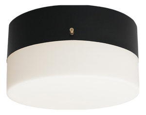 Vintage Ceiling Light in Opal White Glass, 1950s