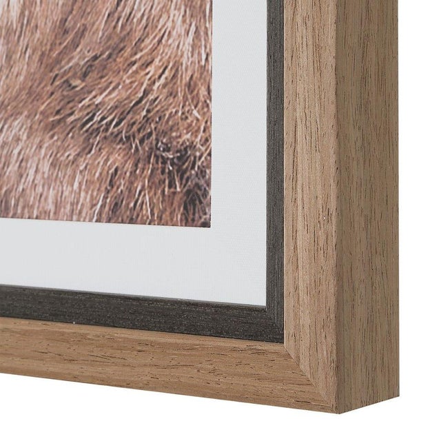Contemporary Big Horn Ram - Framed Print For Sale - Image 3 of 9