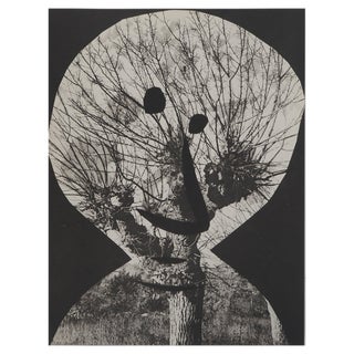 Pablo Picasso, Diurnes, The Stripped Corrigan, Original Collotype For Sale