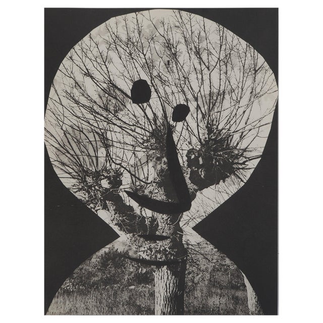 Pablo Picasso, Diurnes, The Stripped Corrigan, Original Collotype For Sale