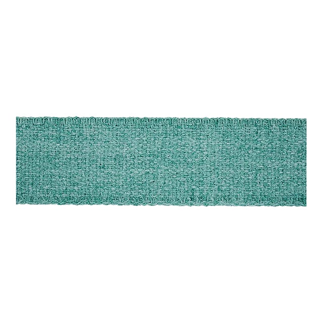 Schumacher Ashwood Tape Indoor/Outdoor in Aqua For Sale