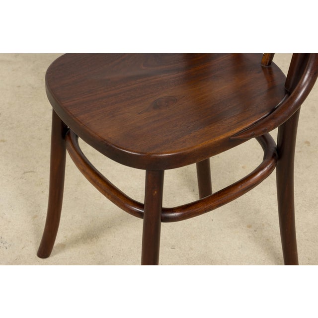 Set of 4 French Bentwood Bistro Dining Chairs, Provence, Mid-20th Century For Sale - Image 17 of 18