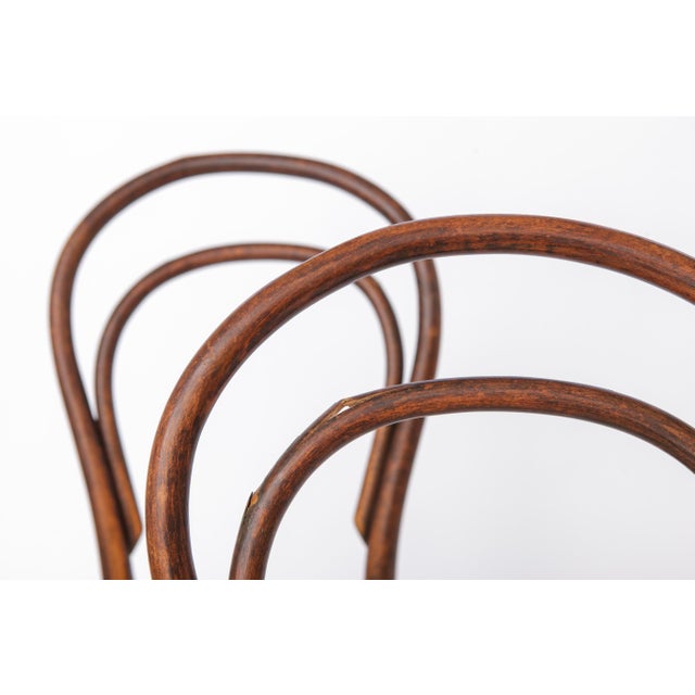 Brown Antique Bentwood Chairs from Gebrüder Thonet, 1890s, Set of 2 For Sale - Image 8 of 12