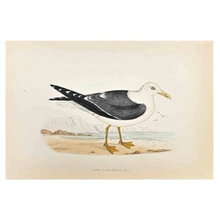Alexander Francis Lydon, Lesser Black-Backed Gull, Woodcut Print, 1870 For Sale