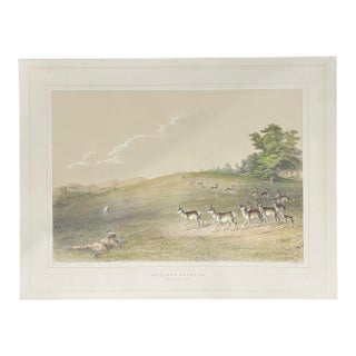 George Catlin Antelope Shooting 1870s Lithograph Hand-Colored Print For Sale