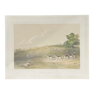 George Catlin Antelope Shooting 1870s Lithograph Hand-Colored Print