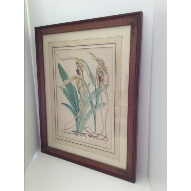 Offered is a beautiful cypripedium orchid print, custom framed with French matting. This piece is beautiful for shabby...