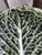 Large Earthenware Tureen in the shape of Cabbage Leaves, 1970s For Sale - Image 17 of 18