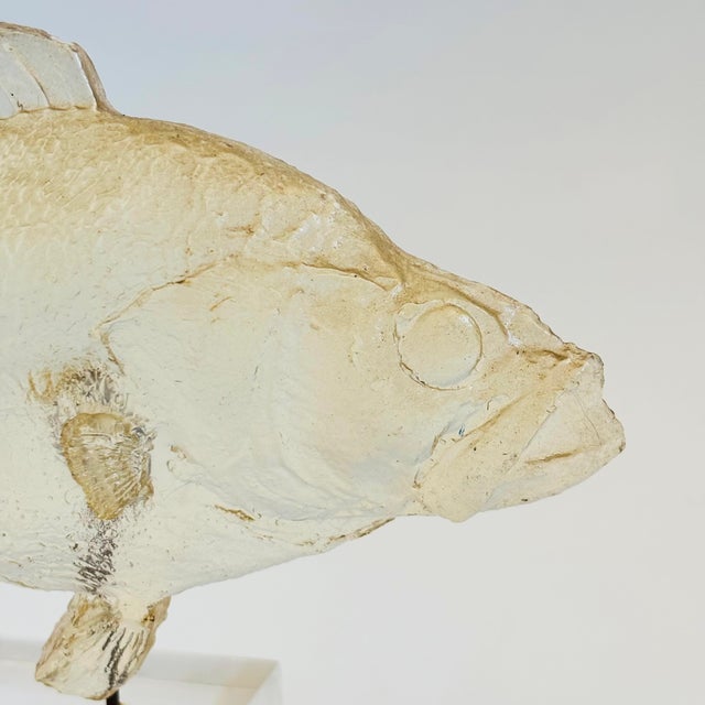 Vintage Acrylic Fish Sculpture For Sale - Image 4 of 11