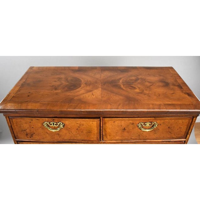 Brown George III Burr Walnut Chest on Stand, 1800 For Sale - Image 8 of 13