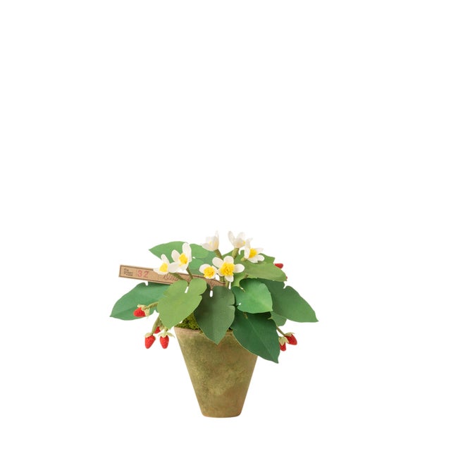 Paper strawberry plant with 7 blooms with hand painted leaves and vintage millinery strawberries in a beautiful aged terra...