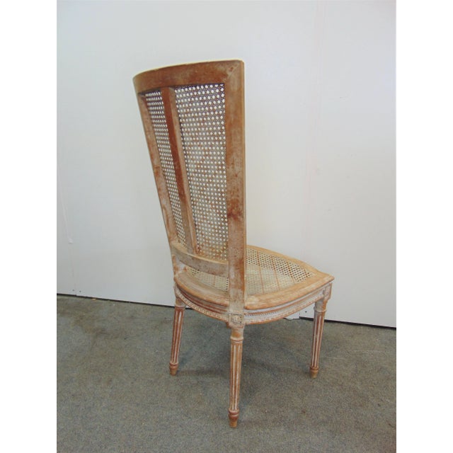 Louis XVI Style Caned Washed Maple Side Chair For Sale In Philadelphia - Image 6 of 7