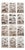 After Cpt. Brown, Big Cat Illustrations, 1835, Prints, Set of 12 For Sale