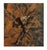 Abstract metal relief by Navid Ghedami Mixed-media abstract figurative piece sculpted from copper and aged metal. See...