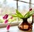 Warm tone, soft distortion, catches light in a way that shifts throughout the day. Simple, but does a lot. Great for...