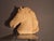 Mid-Century Modern Horse Head Light Object by by Luciano Sartoni, Italy, 1970s For Sale - Image 3 of 6
