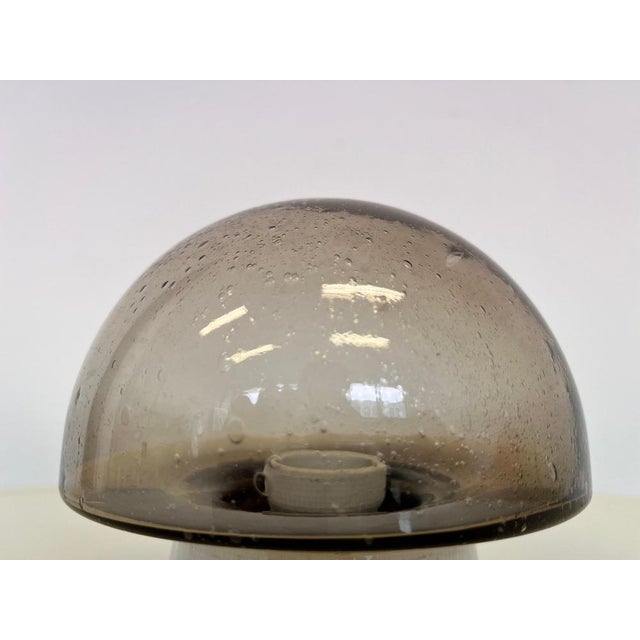 Small Glass Ceiling Lamps, 1970s For Sale - Image 6 of 7