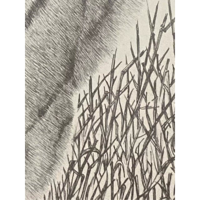 1970s Bengal Tiger Etching Print Signed Warren Davis For Sale - Image 5 of 7