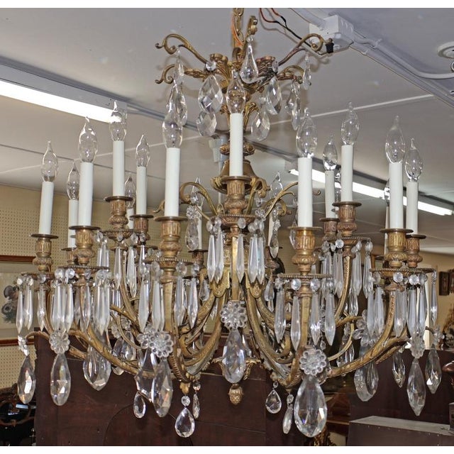 Early 20th Century French Louis XV Style Bronze and Crystal Chandlier 30 X 30 For Sale - Image 4 of 18