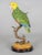 1970s Chinese Porcelain Parrot For Sale - Image 5 of 11