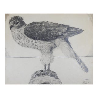 Vintage Hawk Drawing For Sale
